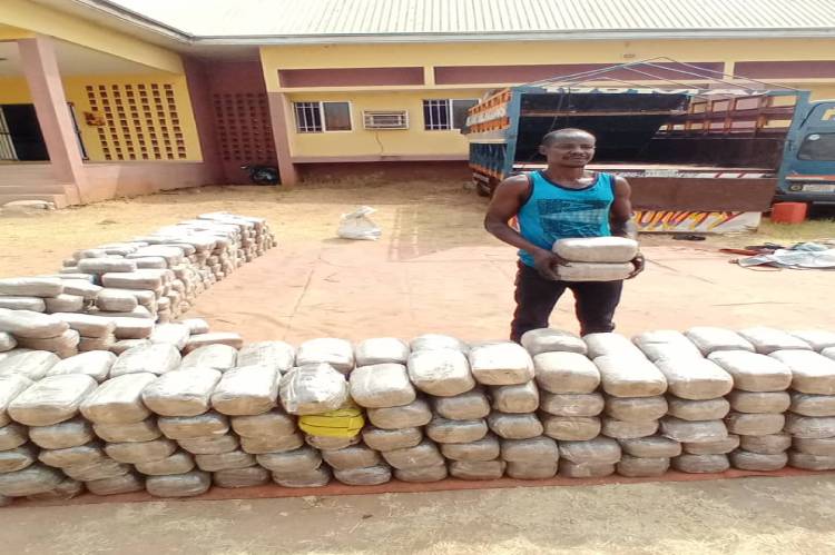 NDLEA uncovers cannabis warehouse, intercepts truckload of illicit drug in Benue