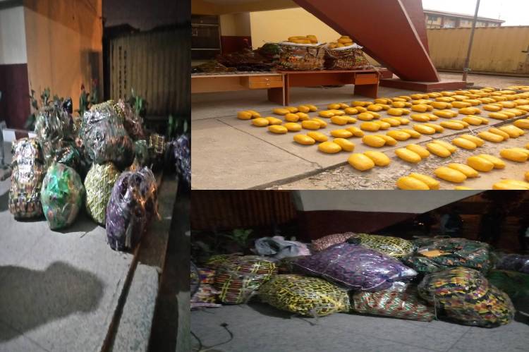 NDLEA uncovers cannabis warehouse, seizes 621kg of illicit drugs in PortHarcourt, Rivers State