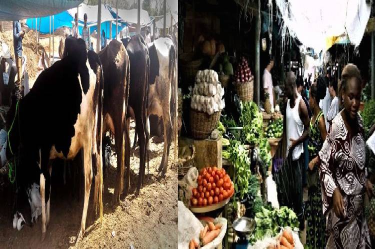 EndSARS/Sasa cisis: Foodstuffs, Cattle Dealers Union give FG 3 days ultimatum to pay N475bn compensation