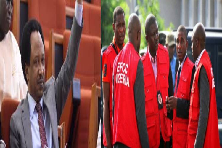 New Project – 2021-03-16T131214.662