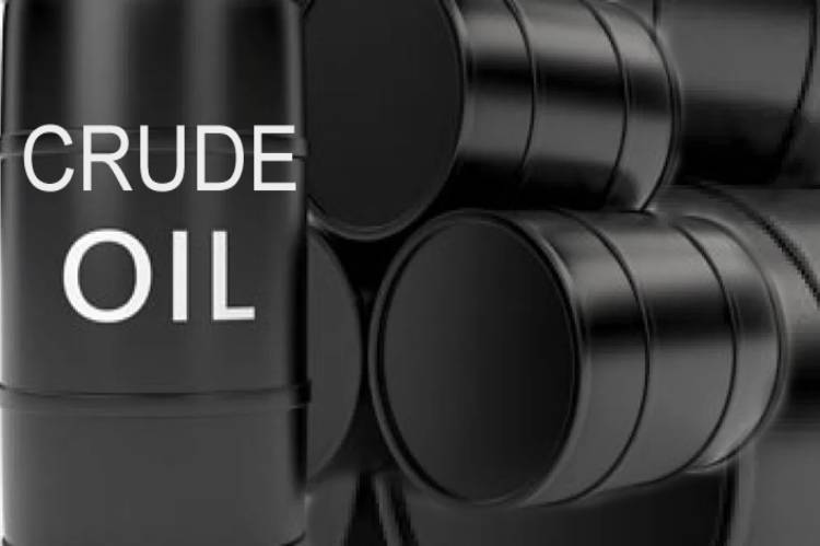 Nigeria increased crude oil production to 1.42m barrels per day in February – OPEC