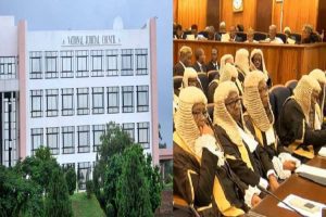 National Judicial Council