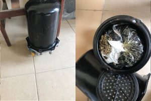 New Project – 2021-03-23T145946.597