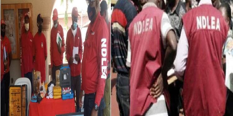 126 Nigerians across 14 states jailed for various offences- NDLEA