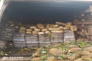 New Project – 2021-04-06T123735.501