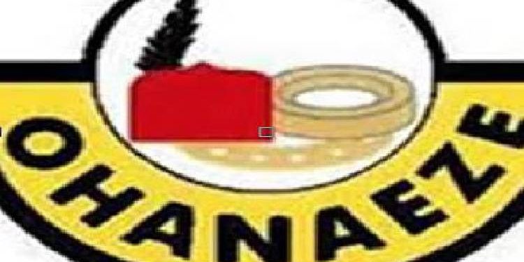 Military clampdown on youths in Imo ‘unacceptable’ -Ohaneze