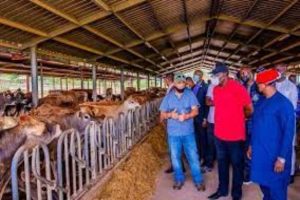 New Project – 2021-04-26T135740.486