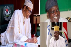 Director General, Nigeria Tourism Development Corporation