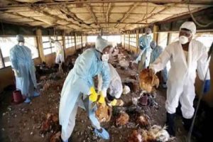 New Project – 2021-05-09T134328.909