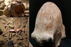 New Project – 2021-05-09T170947.047