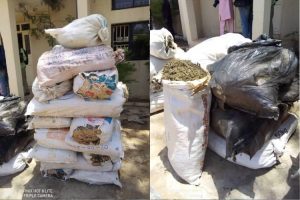 New Project – 2021-05-11T155221.680