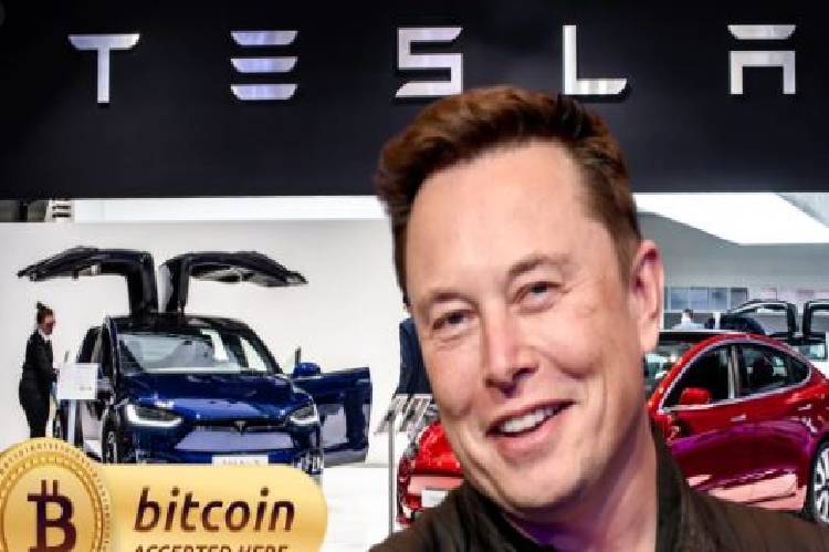 Elon Musk halts Bitcoin acceptance for Tesla vehicles
