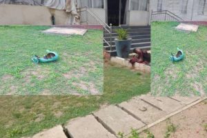 New Project – 2021-05-20T151752.432