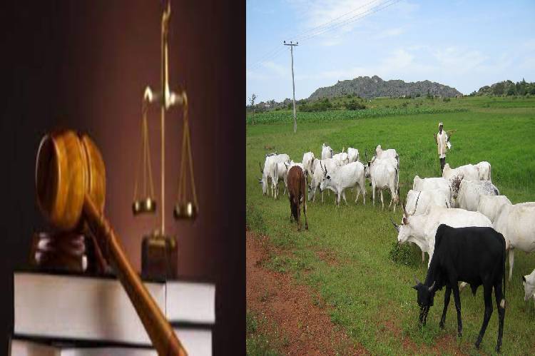 Court upholds right of States, Police to enforce anti-open grazing laws