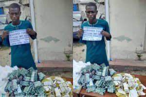 NDLEA seizes 34,950 Tramadol, Diazepam capsules going to Borno in Lagos
