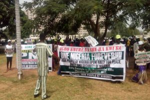 Pro Government Protester