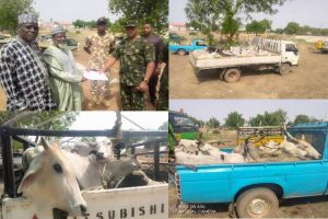 Operation Hadarin Daji recovers 155 cows, one camel, one ram in Zamfara