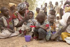 Over 4 million Nigerians will face food shortage in August- FAO