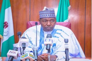 Borno governor suspends INGO ‘caught conducting shooting training in hotel