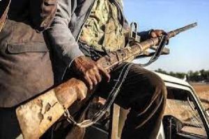 Gunmen abduct Provost Of College Of Animal Science Habibu Mainasara in Zamfara State