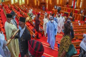 Senate Passes bills establishing three universities, latest news