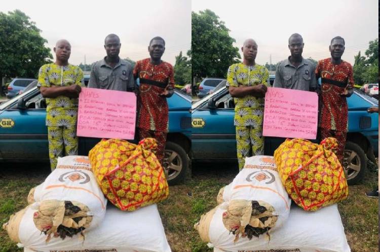 NURTW Chairman, two others arrested for drug trafficking in Ondo, Benue