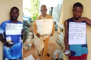 Latest News from NDLEA is that it arrests seven drug kingpins, recovers 843kg skunk, cocaine in three states