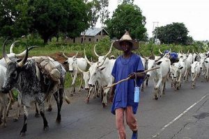 Katsina emirate bans open grazing in communities