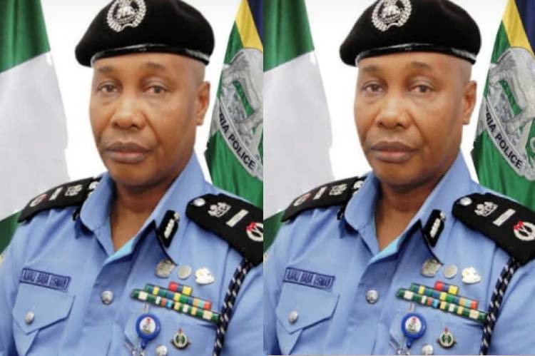 Plateau attacks: IGP orders deployment of special team to affected communities, arrest 20 suspects