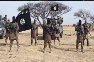 Peace day campaign to win back Nigeria from terrorism - Advocates