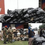 UPDATED: Two fake policemen arrested in Ondo for trafficking cannabis