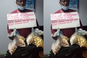 Latest Breaking News About War On Drugs in Nigeria: NDLEA arrest trafficker with N2.3 Bn worth of Drugs at Abuja Airport