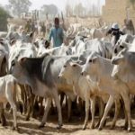 Open grazing ban: 11 Southern States fail to meet deadline, 6 comply