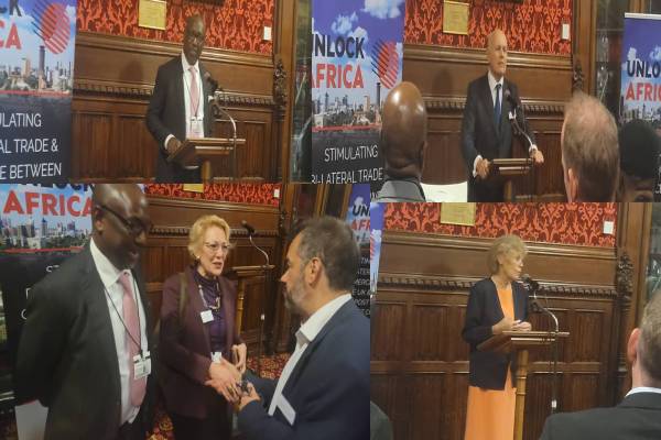 UK, Africa business Partnership