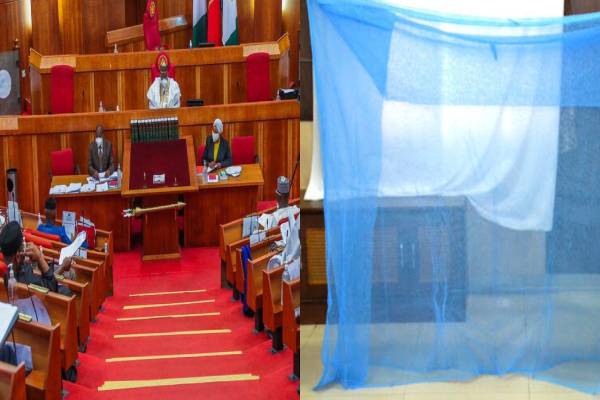 Senate rejects Health Ministry’s request to borrow $82bn to purchase mosquito nets