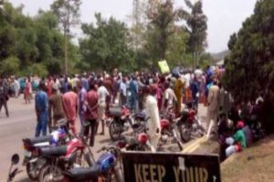 Ondo Timber Traders protest closure of forests by state govt