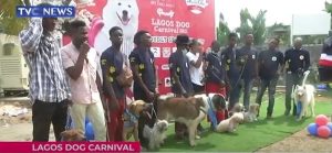 Dog owners speak on bond they share with their pets