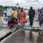 Lagos empowers youths, women in fish cage culture