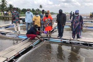 Lagos empowers youths, women in fish cage culture