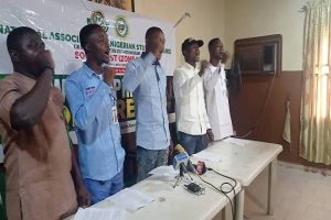 NANS  ON 2023 ELECTIONS