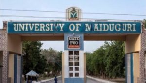 Political Science, Public Admin Alumni Of UNIMAID urged to contribute to nation building