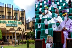 Reps committee tackles NIS over engagement of consultants to handle visa, passports processes at nation's foreign mission