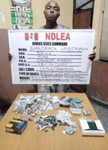  Pregnant woman arrested with 1,441kg imported skunk in Lagos raid