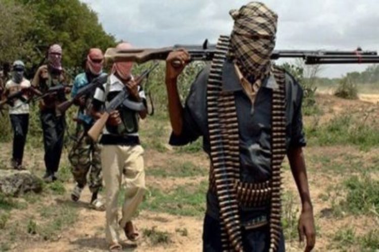 Boko Haram attacks Kautikari village in Borno
