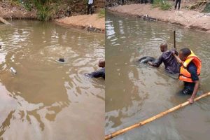 Two Children of same parents drown in Ilorin