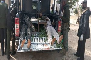 OPolice kill two bandits in Zamfara
