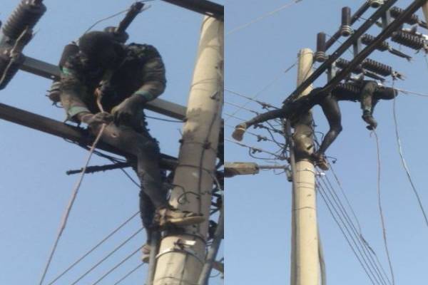 Suspected vandal attempting to steal transformer cables electrocuted