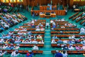 Ecological fund: Reps threaten MDAs, states for failing to honour invitation