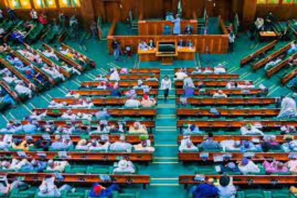 House of reps to investigate Daily Fuel consumption