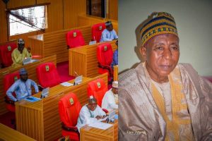 Zamfara Assembly Member